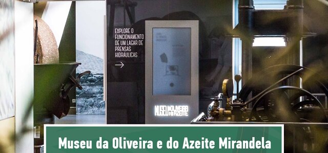 museu__da_oliveira_e_do_azeite____mirandela