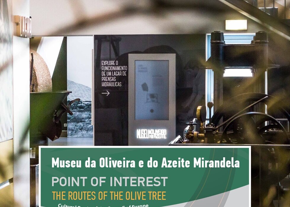 museu__da_oliveira_e_do_azeite____mirandela