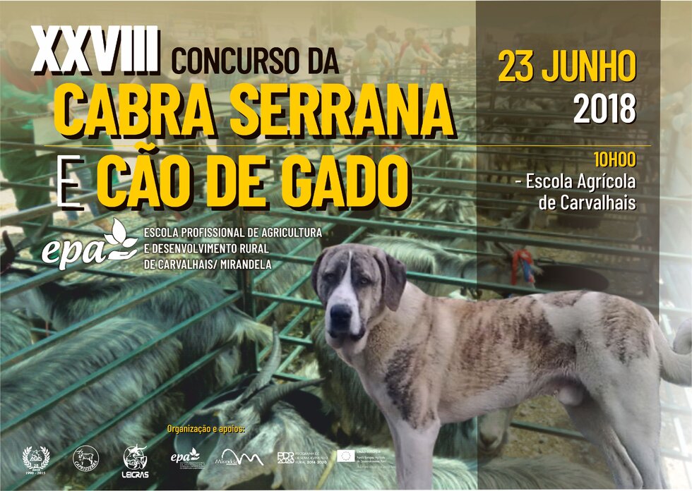 cartaz_XXVII_concurso_cabra_serrana_c_o_de_gado_18