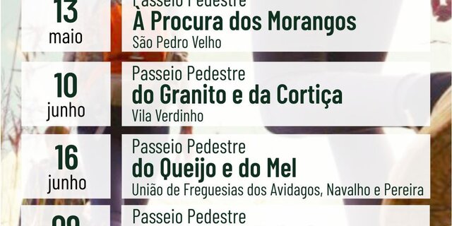 Passeio_pedestre_2018