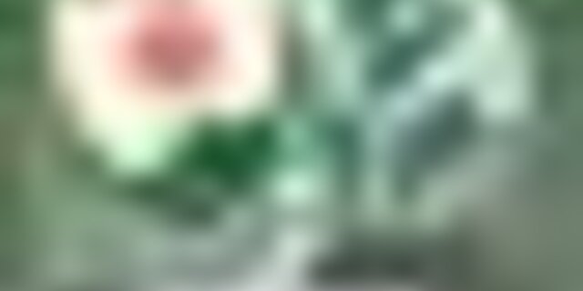 tiny_thumb_FUT_JUV_GDCACHAO_PALMEIRAS_FC_