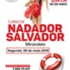 thumb_cartaz_Curso_de_Nadadores_Salvadores_Mirandela_V2