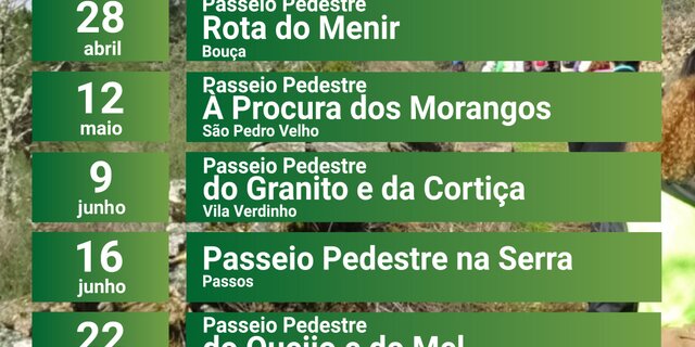flyer_passeio_pedestre_2019_