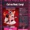 thumb_cartaz_filme_matin__infantil_cai_na_real__corgi