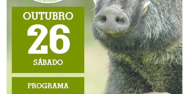 montaria_javali_romeu_2019_01