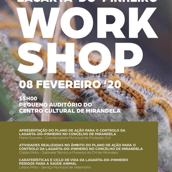 workshop___lagarta_de_pinheiro