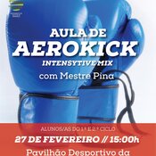 aerokick___piicie__01