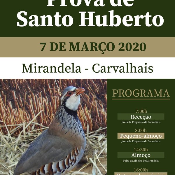 cartaz_santo_huberto_2020