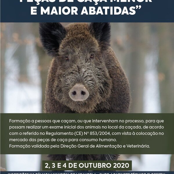 curso_caca_2020_01
