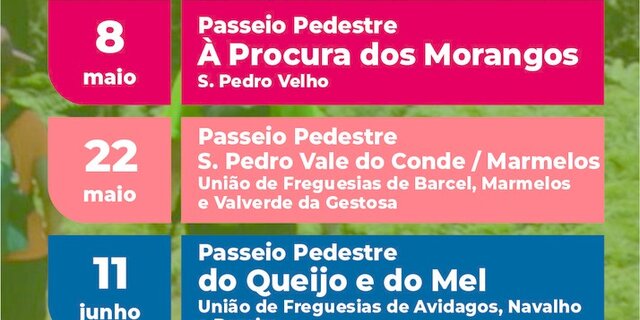 flyer_passeio_pedestre_2022__1_