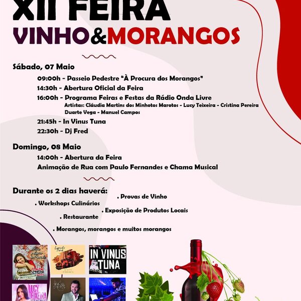 feira_morangos