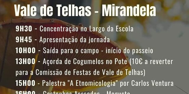 ii_passeio_micologico_de_vale_de_telhas