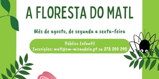 a_floresta_do_matl