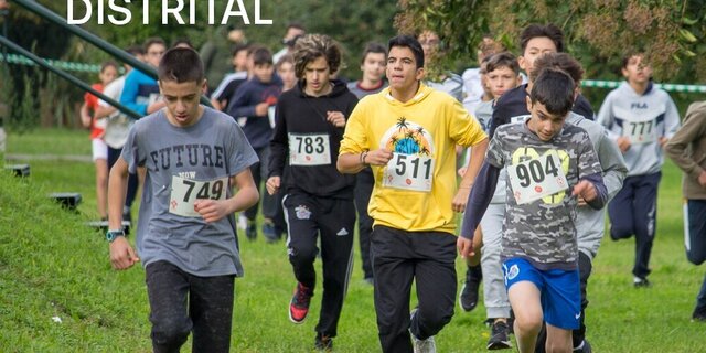 corta_mato_distrital_aem_2024