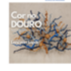 thumb___cartaz_cor_no_douro