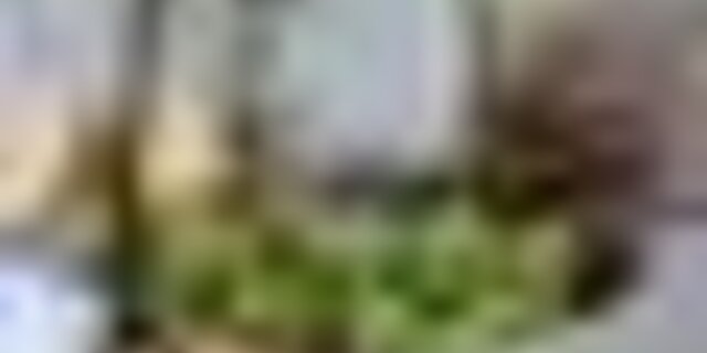 tiny_thumb_feira_figo_abreiro
