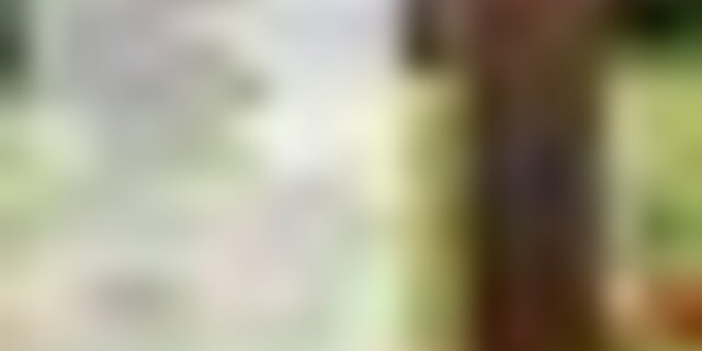 tiny_thumb_cartaz_passeio_pedestre_2024
