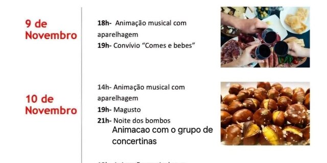 festas_em_honra_de_sao_martinho