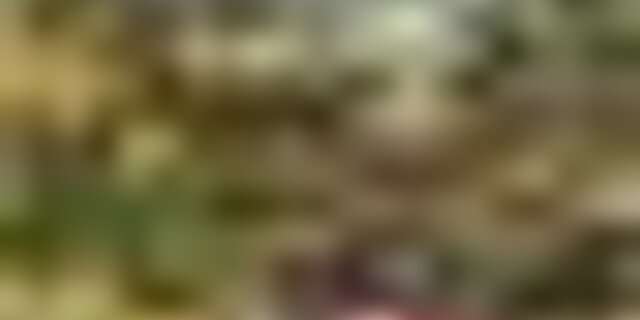 tiny_thumb_magusto_amigos_das_monkeys