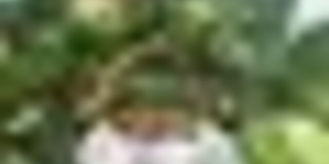 tiny_thumb_feira_da_couve_penca1
