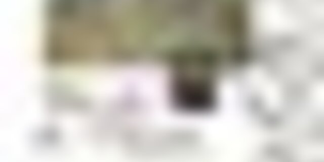 tiny_thumb_fio_de_azeite___inaguracao