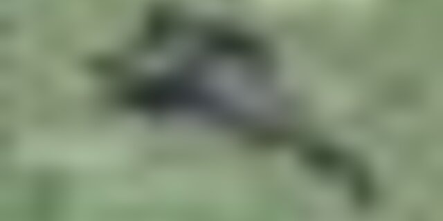 tiny_thumb_montaria_ao_javali___aguieiras