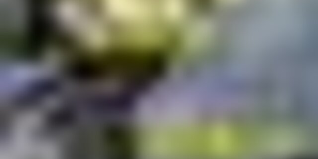 tiny_thumb_enduro_tt_2025