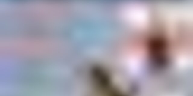 tiny_thumb_feira_do_tordo_2025