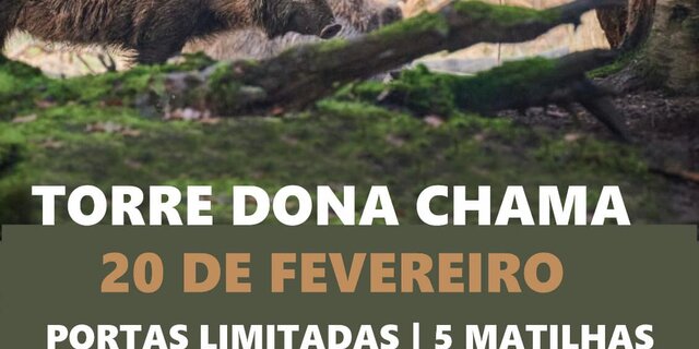 montaria_torre_20fev