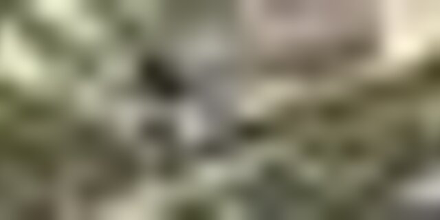 tiny_thumb_skyrace