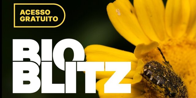 bioblitz