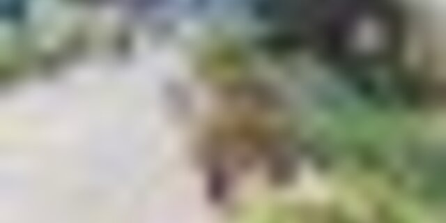 tiny_thumb_original_6f3d0f15_97c9_4028_8c16_f0a65c5f3b92