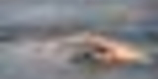 tiny_thumb_open_2025