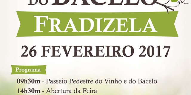 26_FEV_III_feira_do_Vinho_e_do_Bacelo