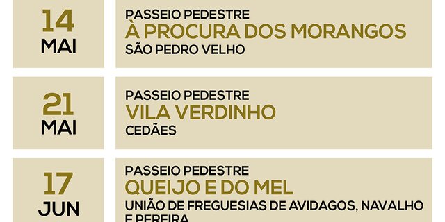 faixa_passeio_pedestre_2017_1