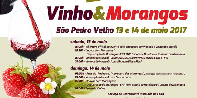 13_14_Maio_9__edi__o_da_Feira_do_Vinho___Morangos_2017