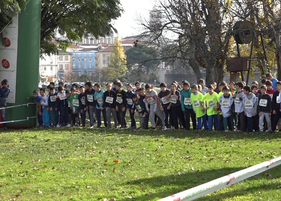 Corta-Mato_Escolar_-_Foto_Canal_Ntv_Mirandela