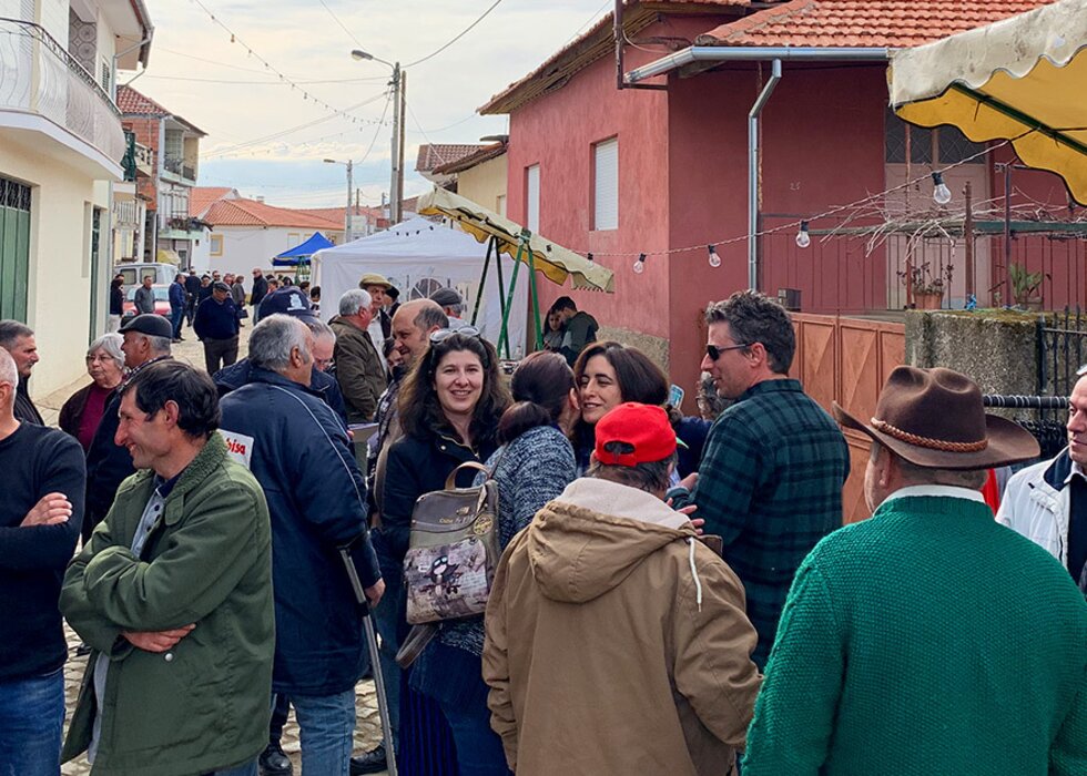 Mascarenhas_tordo-Mirandela