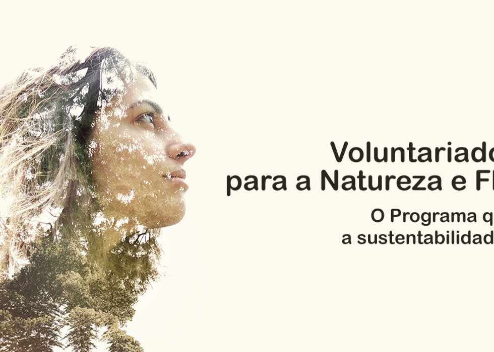 Voluntariado_Florestas_Mirandela