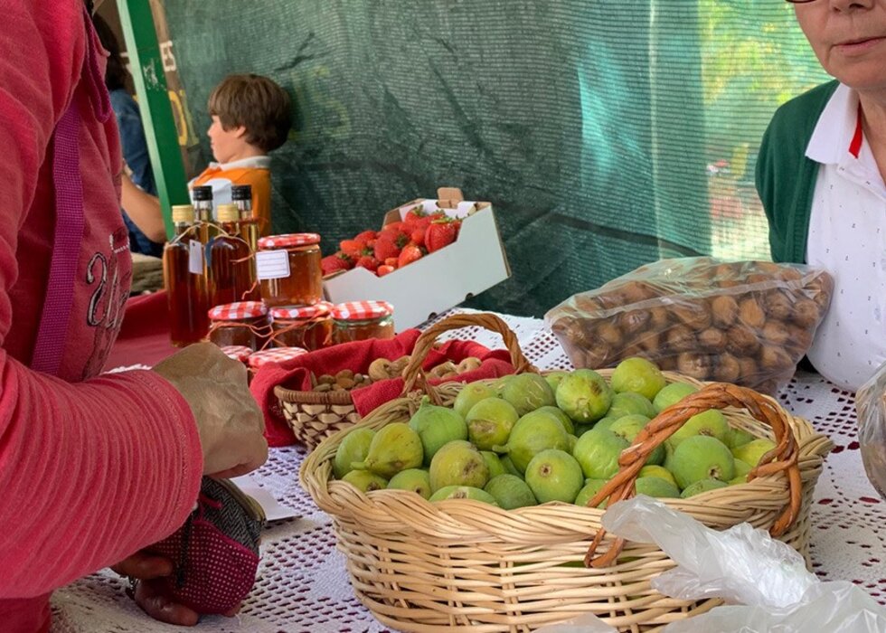 feira_figo_abreiro_mirandela_2019