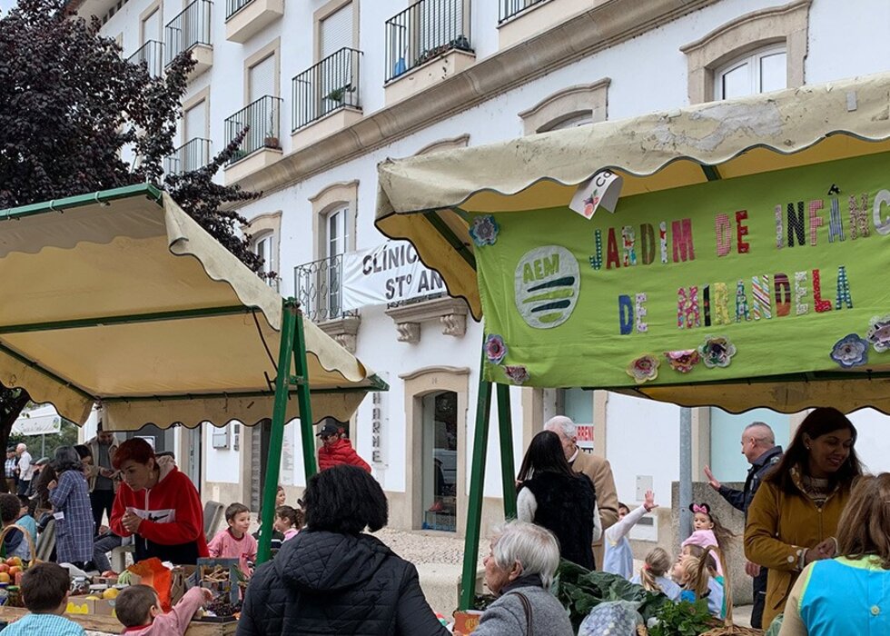 mercadinho_mirandela_2019