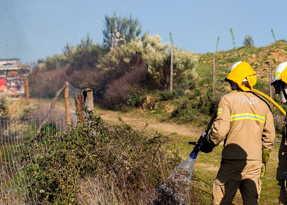 incendios_mirandela