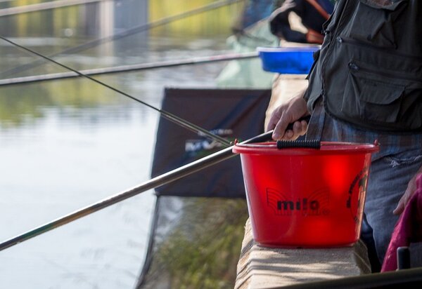 pesca_mirandela