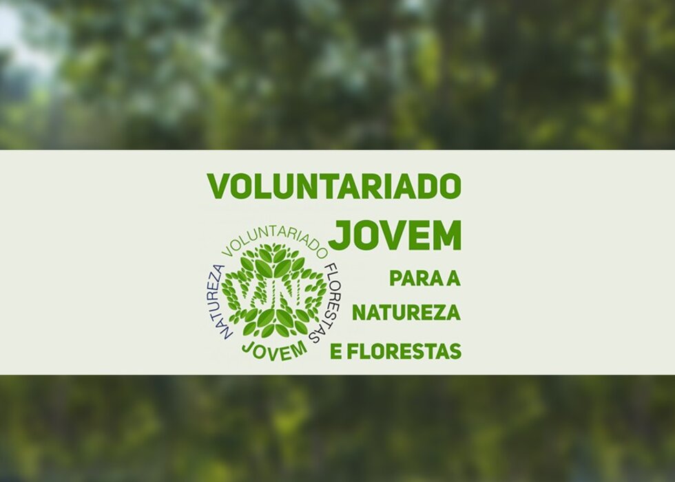 volunatariado_jovem_natureza_mirandela