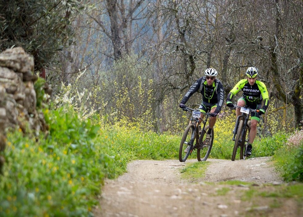 centro_cyclin_mirandela