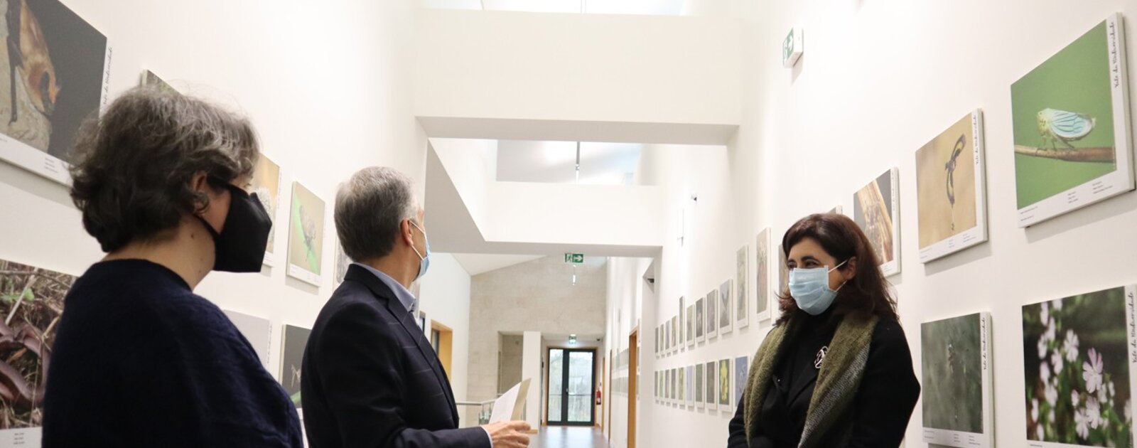 exposicao_biodiversidade_vale_do_tua__mirandela