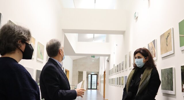 exposicao_biodiversidade_vale_do_tua__mirandela