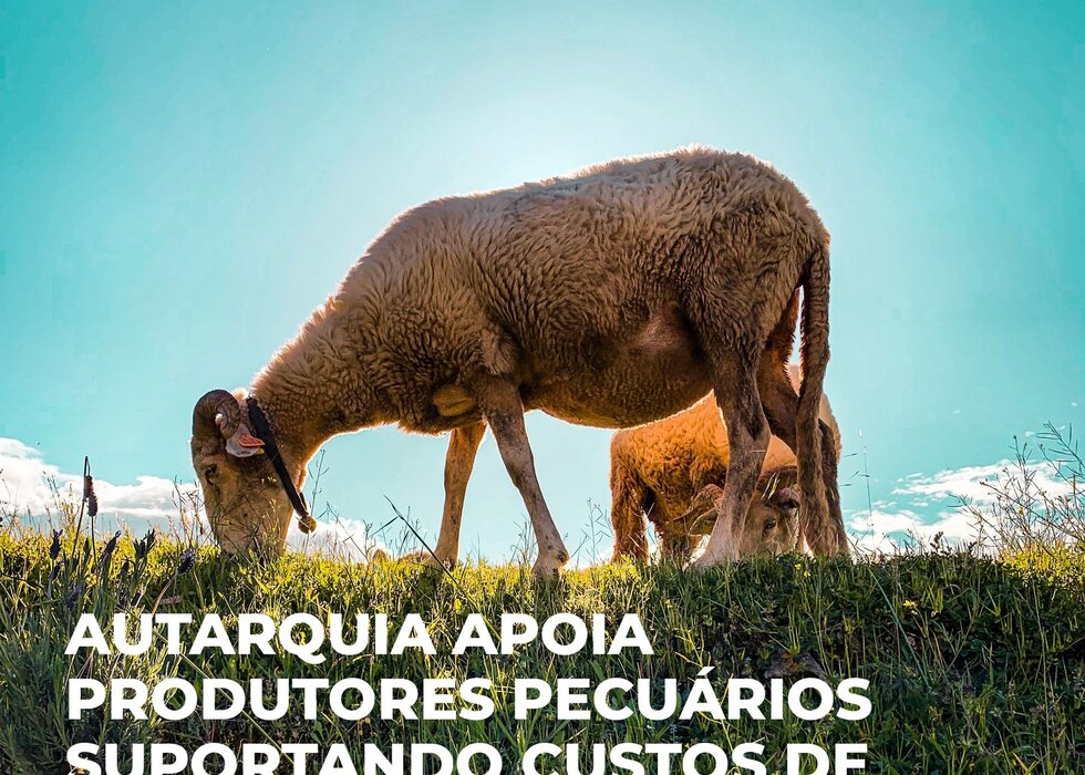 pecuaria