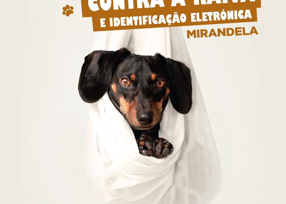 vacinacao_animal_mirandela