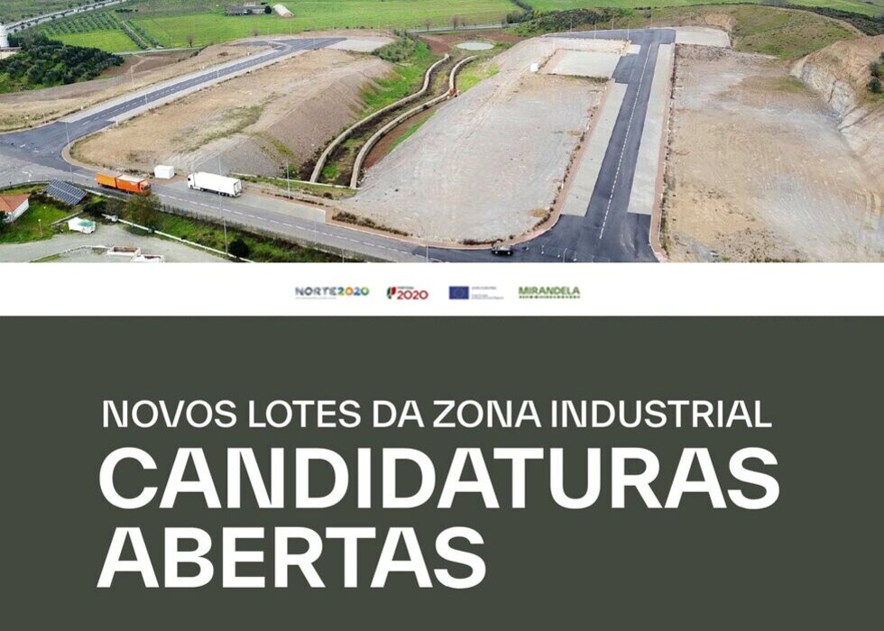 lotes